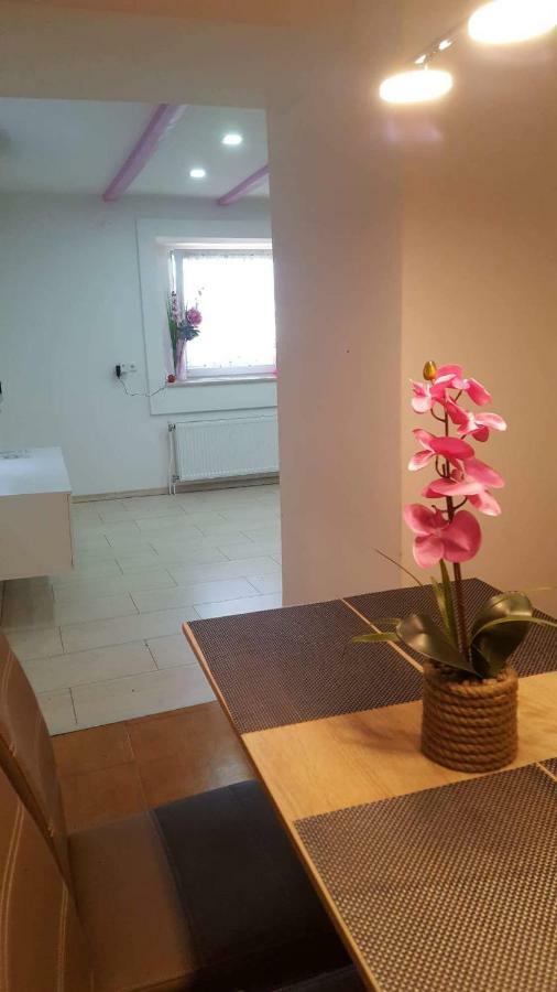 Apartment Goran & Nela Umag Exterior foto